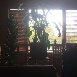 Meet your Posher, Patrice